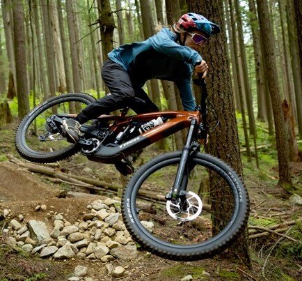 E-MTB Fully